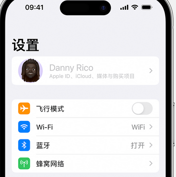 呼玛appleID维修服务iPhone设置中Apple ID显示为灰色无法使用 