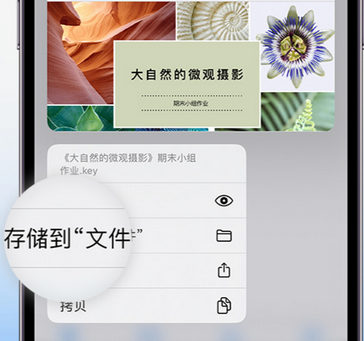 呼玛apple维修中心分享iPhone文件应用中存储和找到下载文件