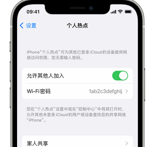 呼玛apple服务站点分享iPhone上个人热点丢失了怎么办 