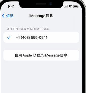 呼玛apple维修iPhone上无法正常发送iMessage信息 