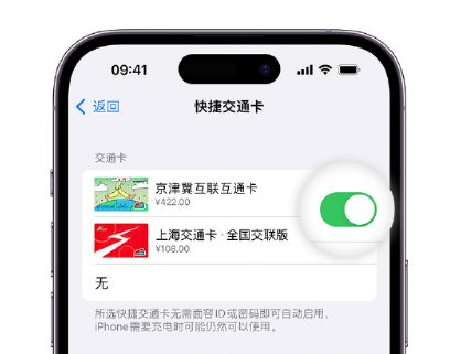 呼玛apple维修点分享iPhone上更换Apple Pay快捷交通卡手绘卡面 