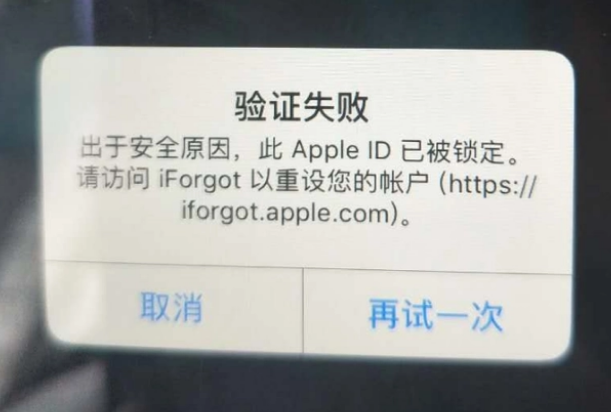 呼玛iPhone维修分享iPhone上正常登录或使用AppleID怎么办 