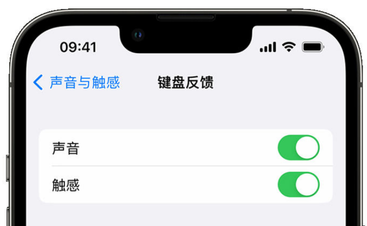 呼玛苹果手机维修分享iPhone 14触感键盘使用方法 