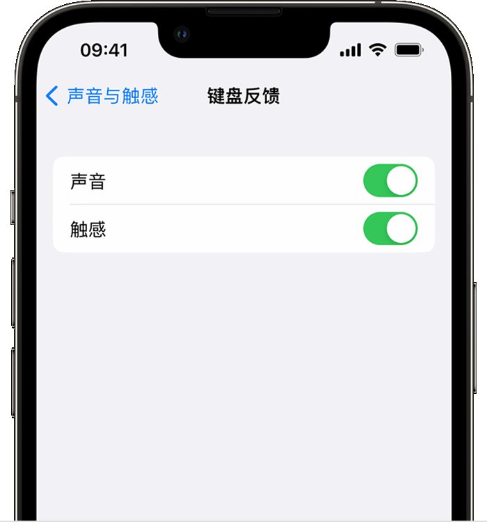 呼玛苹果14维修店分享如何在 iPhone 14 机型中使用触感键盘 