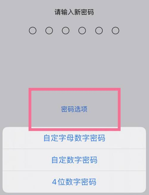 呼玛苹果14维修分享iPhone 14plus设置密码的方法 