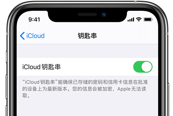 呼玛苹果手机维修分享在 iPhone 上开启 iCloud 钥匙串之后会储存哪些信息 