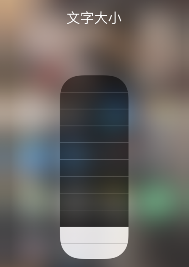 呼玛苹果手机维修分享小技巧：在 iPhone 控制中心快速调节字体大小 
