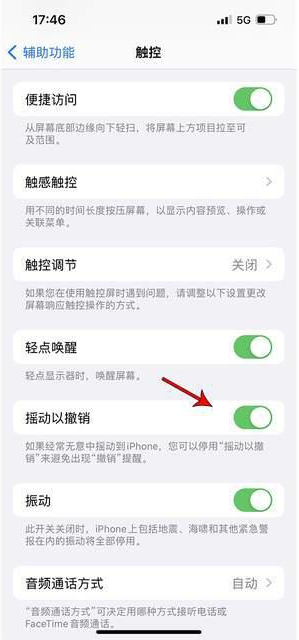 呼玛苹果手机维修分享iPhone手机如何设置摇一摇删除文字 