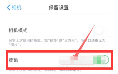 呼玛苹果13维修分享iPhone13拍照有绿点是怎么回事 