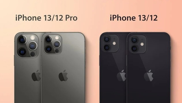 呼玛苹果手机维修分享iPhone 13 摄像头长什么样 