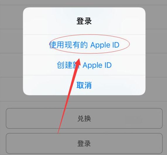 呼玛苹果手机维修分享两台iPhone设备可以同时登录一个Apple ID吗 