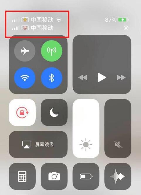 呼玛苹果手机维修分享为 iPhone 12 双卡设置标签 