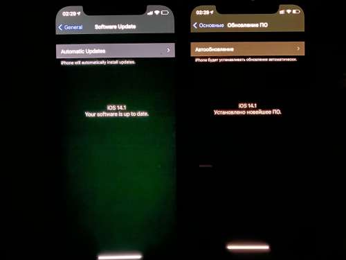 呼玛苹果手机维修分享iPhone 12 显示黑色画面时发绿光怎么办 